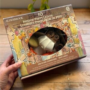 Alderbrook Indoor Party cowboy western String Lights - Multi Color